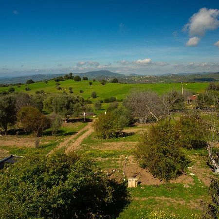 Camping Panorama Ξενοδοχείο Ouazzane Εξωτερικό φωτογραφία