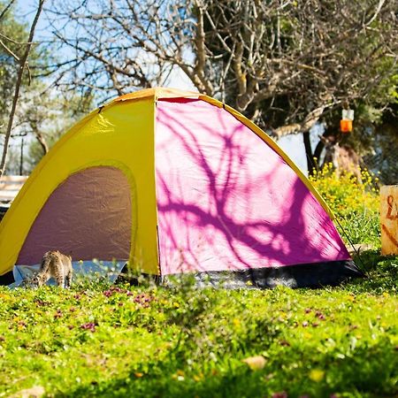 Camping Panorama Ξενοδοχείο Ouazzane Εξωτερικό φωτογραφία