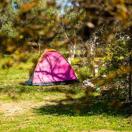 Camping Panorama Ξενοδοχείο Ouazzane Εξωτερικό φωτογραφία