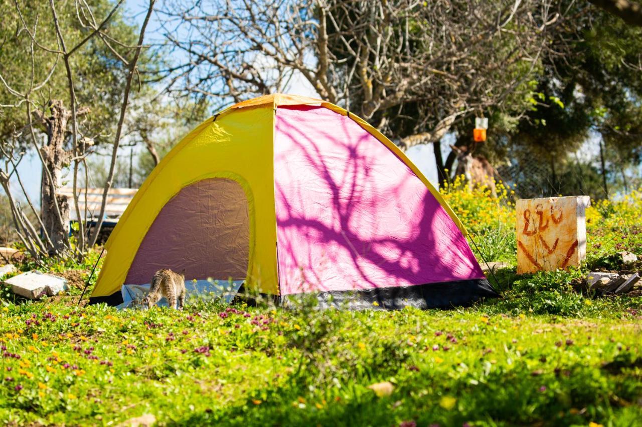 Camping Panorama Ξενοδοχείο Ouazzane Εξωτερικό φωτογραφία